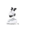 Kính hiển vi ST-40B-2L