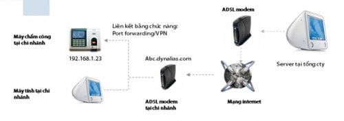 Mô hình quản lý các chi nhánh